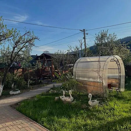 у олександра Kamp alanı Yasinya